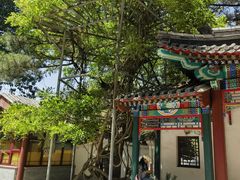 -红螺寺