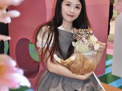 -PO PARK东方宝泰