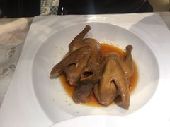 卤水鸽-陶陶居酒家(海岸城店)