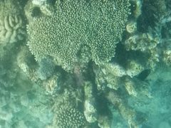 -东姑阿都拉曼海洋公园