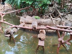 -长鹿旅游休博园