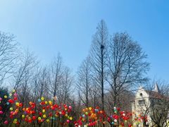 -波尔登森林公园