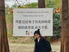 -天花井景区