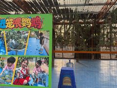 -长白岛森林公园