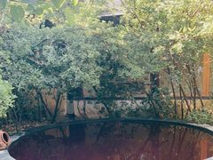 -仁爱团泊湖温泉中心