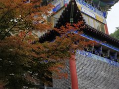 -皇藏峪国家森林公园