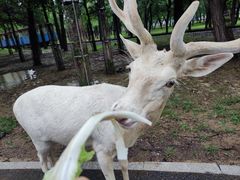 -秦皇岛野生动物园