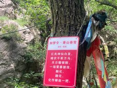 -抱龙峪
