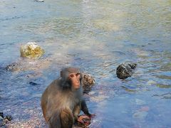 -白河湾生态旅游一条川