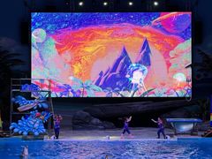 -海合安武汉极地海洋公园