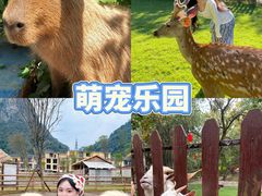 -栖露营camping·天幕烧烤·团建拓展·采摘营地