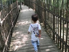 -宁波浙东大竹海景区