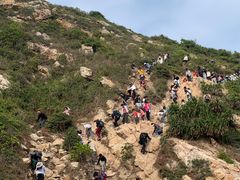 -西涌国际滨海旅游区