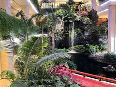 -广州白天鹅宾馆