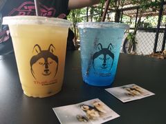 -TrueLove @ Neverland (Husky Cafe)