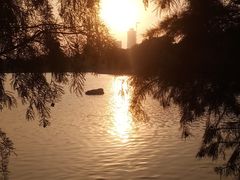-海珠湖公园
