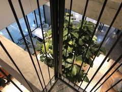 大堂-大树餐厅(红旗街万达店)