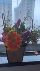 -千禧果月子会所(郑州东站店)