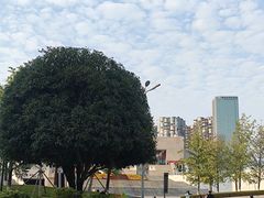 -长沙滨江文化园