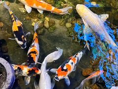 -味友·厦门味(集美店)