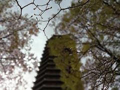 -玲珑塔公园