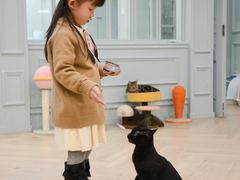 -安格丽娜·狗咖·猫咖羊驼咖(春熙路百盛商场店)