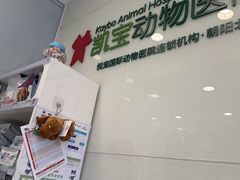 -悦宠凯宝动物医院·牙科·皮肤科(朝阳北路店)