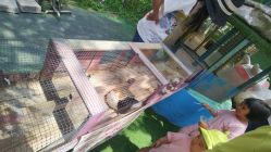 -萌宠亲子动物乐园(槐房万达店)