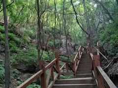 -大岭沟猕猴桃谷风景区