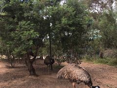 -威勒比开放式动物园