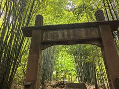 -凤栖山