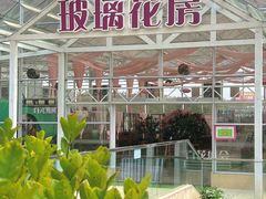 -盈香心动乐园