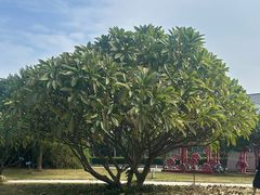 -陈李济中药博物馆