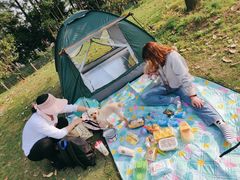 -上海长兴岛郊野公园