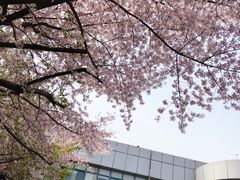 -上海南浦大桥长途旅游客运站