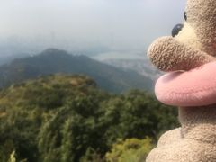 -紫金山山顶公园
