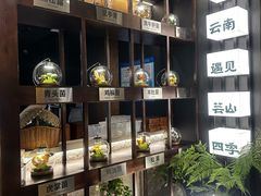 -芸山季·云南山珍菌火锅(人民广场来福士店)