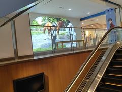 -大商麦凯乐(大连总店)
