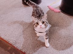 -奇门密室(五一新干线店)