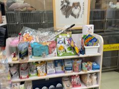-米苏动物医院·犬猫专科·骨科外科内窥镜