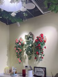 -变美丽半永久纹眉连锁·机器野生眉•洗眉