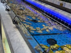 -川骄海鲜自助(河东店)