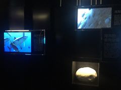 -同济大学四平路校区深海探索馆
