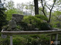 -盆景园(扬州大运河文化旅游度假区)