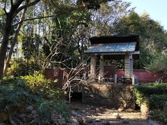 -深圳国际园林花卉博览园