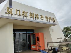 -南汇嘴观海公园