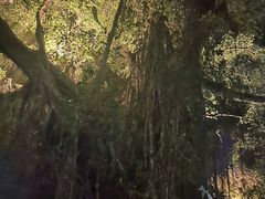 -潮州西湖