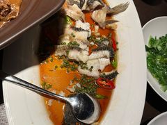 -大拙里·精致融合菜(沙湖桃源国际店)