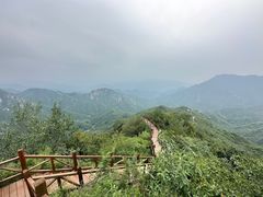 -大岭沟猕猴桃谷风景区