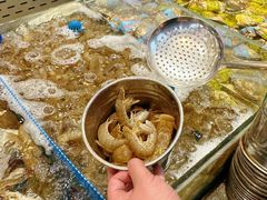 -半岛听涛蒸汽海鲜自助(K11店)